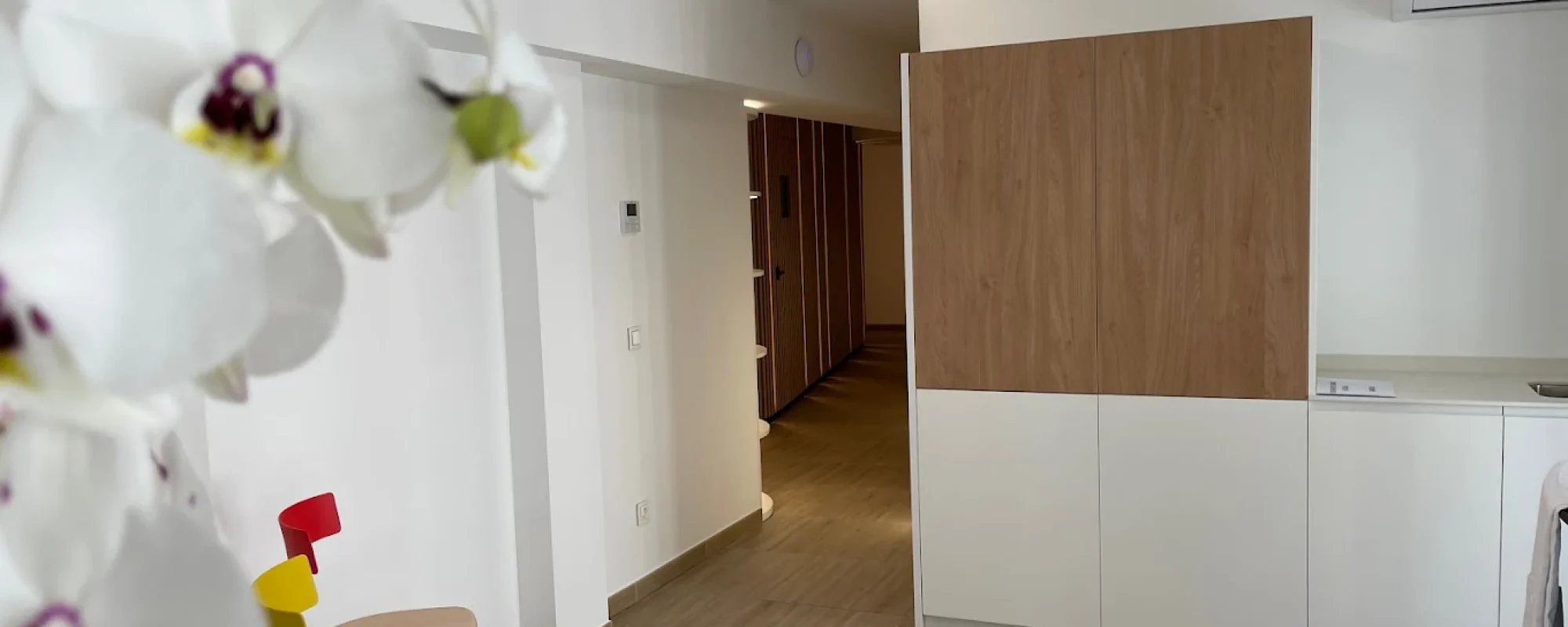 El vínculo entre Prodigi Advisor y Ortodòncia Sauri se ha consolidado a lo largo de los años, impulsando la ortodoncia avanzada con respaldo científico y tecnología 3D en Andorra